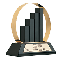 MasterSpas' CEO, Bob Lauter, was awarded the Ernst & Young Entrepreneur of the Year award